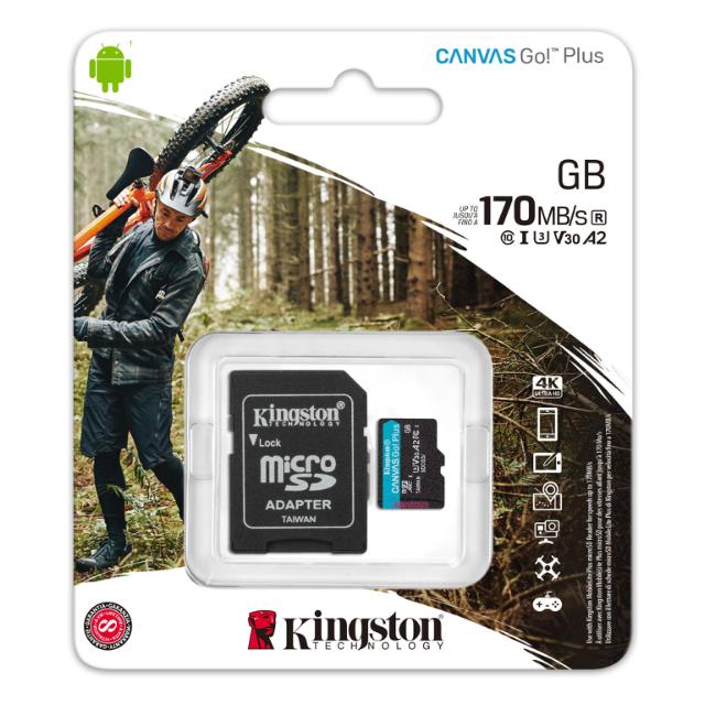 128GB microSDXC Canvas Go Plus