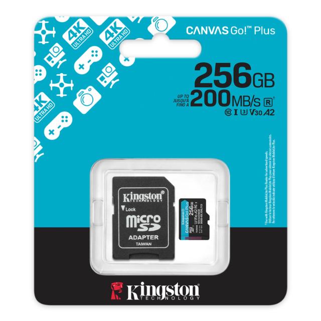 256GB microSDXC Canvas GO Plus G4